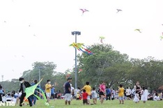 Thousands of kites fly at Hue festival
