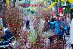 Ministry of Home Affairs agrees 9-day Tet holiday