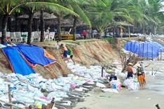 Dutch experts suggest ways to save Hoi An beach