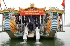 Over 41,000 young fish released to the Huong River