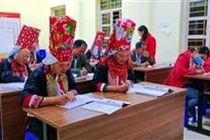 Vietnam marks significant strides in illiteracy eradication