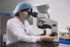 Vietnamese universities among Asia’s top 500