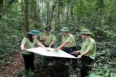 Vietnam to boost tourism development in protective forests