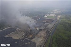 HCM City waste treatment plant causes pollution