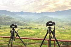 Yellow season arrives in northwestern region