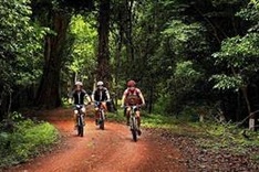 Vietnam serves 2.95 million international tourists in 11 months