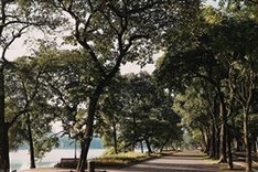 Photo contest launched to capture green Hanoi
