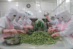 Agriculture minister views export target of 44 bln USD as feasible