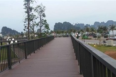 Halong to launch double-decker buses for tourists