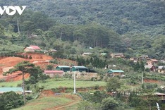 Dozens of houses built illegally on forestry land