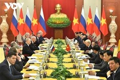 Vietnam greatly values comprehensive strategic partnership with Russia