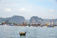 Banks register to provide VNĐ405 trillion in loans to support typhoon-affected customers