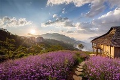 Vietnam among world’s top 12 affordable honeymoon destinations