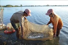 Results of flood-based livelihood project in Mekong Delta reviewed