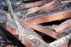 Border guards suspected of destroying in Phong Nha-Ke Bang forest