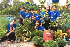 HCM City expands 'green school' model