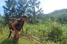 Cash for carbon: Quảng Nam looks to profit from reforestation efforts