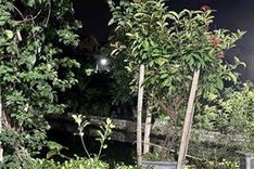 Three children drown at Ninh Binh pond
