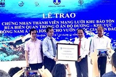 Con Dao Park officially joins IOSEA turtle conservation network