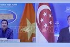 Vietnamese, Singaporean diplomats hold online talks