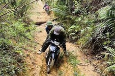 Hundreds of Kon Tum forest rangers quit due to low pay