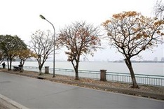 Vietnam to compete in six categories in World Travel Awards 2019