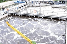 Eco-industrial parks vital to achieving net zero emission target by 2050