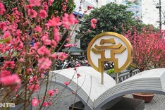 Colourful Hanoi streets ready for Tet