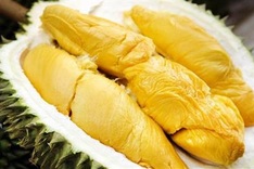 Vietnam becomes biggest durian exporter to China