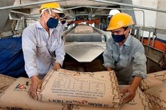 Cement stocks struggle despite surge in product price