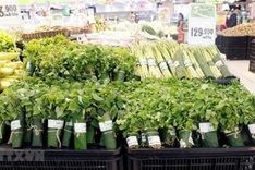 PM backs eco-friendly alternatives to plastic bags