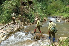 Dry season heralds renewed forest destruction in Dak Nong