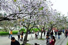 Event drive to boost tourism for Dien Bien