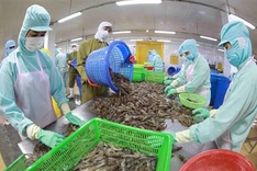 Seafood firms look to second quarter for exports to recover