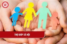 Hanoi twins receive supports to treat cerebral palsy