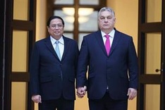 Vietnamese, Hungarian PMs hold talks