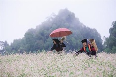 HCM City to preserve 300-year-old damaged relic site