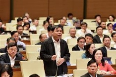 Forest protection on agenda at National Assembly's sitting