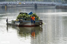 Environment workers protect HCM City canal