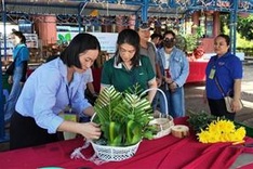 Con Dao takes action to curb non-biodegradable waste