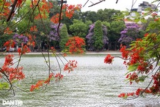 Iconic Hanoi lake wreathed with colourful summer flowers