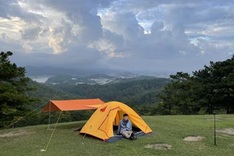 Traveller stuck in Da Lat finds job opportunities amid Covid-19 outbreak