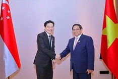 Vietnamese, Singaporean PMs hold talks for first time