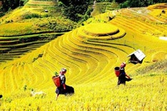 Mu Cang Chai terrace fields among world’s most colorful places