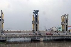 Saltwater intrusion damage successfully prevented this season: Mekong Delta