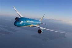 Vietnam suspends air route to Russia