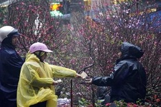 Northern region faces cold weather ahead of Tet