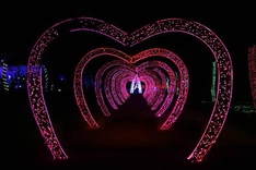 New lighting system installed at Hanoi park