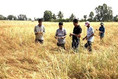 Central region faces high risk of drought spread