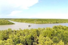 HCM City to turn Can Gio into sustainable eco-urban area